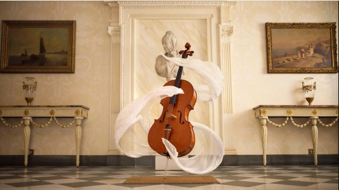 Вибрация виолончели может влиять на исполнителя. Фото -- https://thecellist.ru/3-prichiny-pochemu-nuzhno-igrat-na-violoncheli/